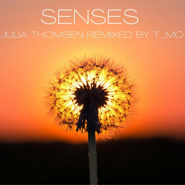 Senses (T_Mo remix)