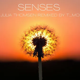 Senses (T_Mo remix) by T_Mo