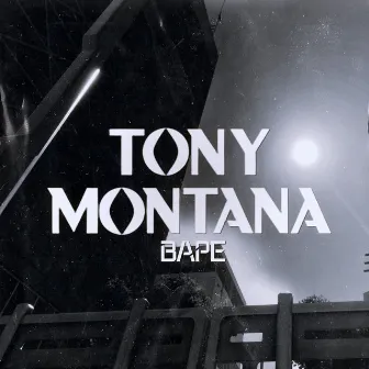 Tony Montana by Bape021