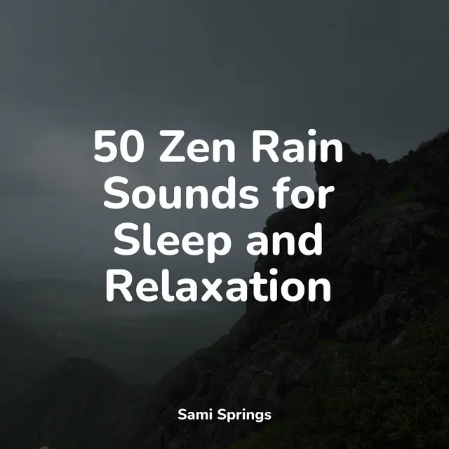 50 Zen Rain Sounds for Sleep and Relaxation