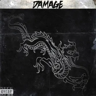 Damage by KURTH HAINT