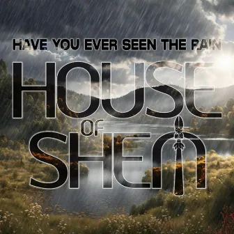 Have You Ever Seen the Rain by House of Shem