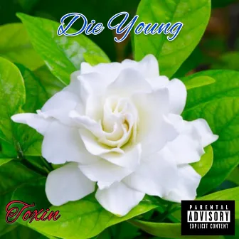 Die Young by Toxin