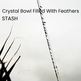 Crystal Bowl Filled With Feathers by Stash