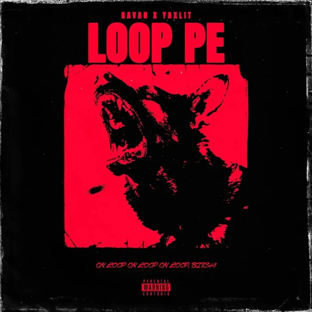 LOOP PE