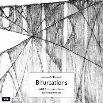 Bifurcations by Enrico Delamboye