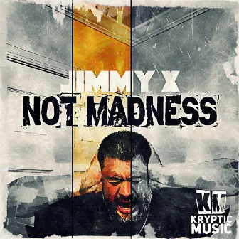 Not Madness by Jimmy X