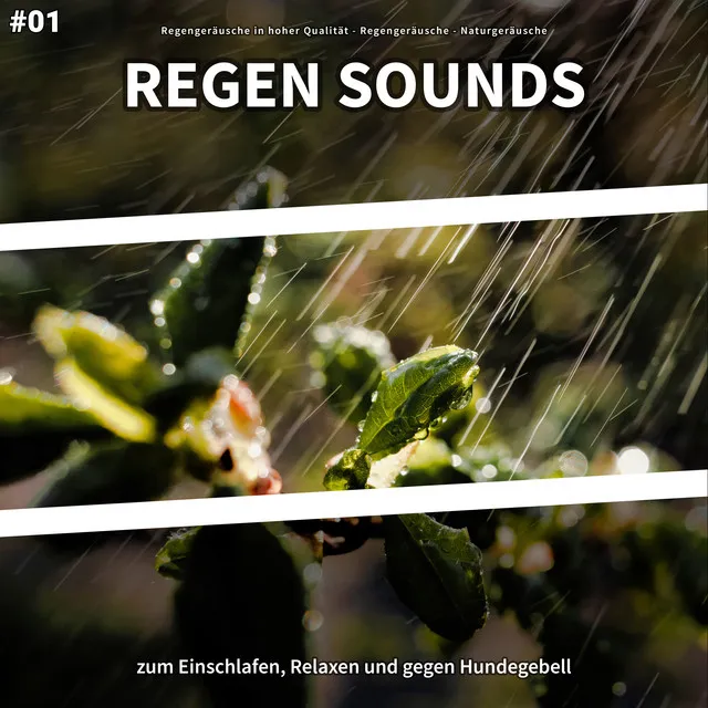 #01 Regen Sounds zum Einschlafen, Relaxen und gegen Hundegebell