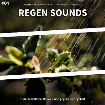 #01 Regen Sounds zum Einschlafen, Relaxen und gegen Hundegebell by Regengeräusche in hoher Qualität