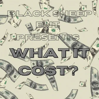 What It Cost by Boog Perignon