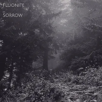 Sorrow by Fluonite