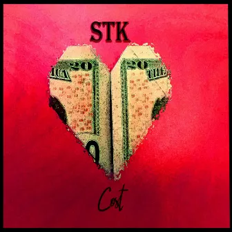 Cost by STK