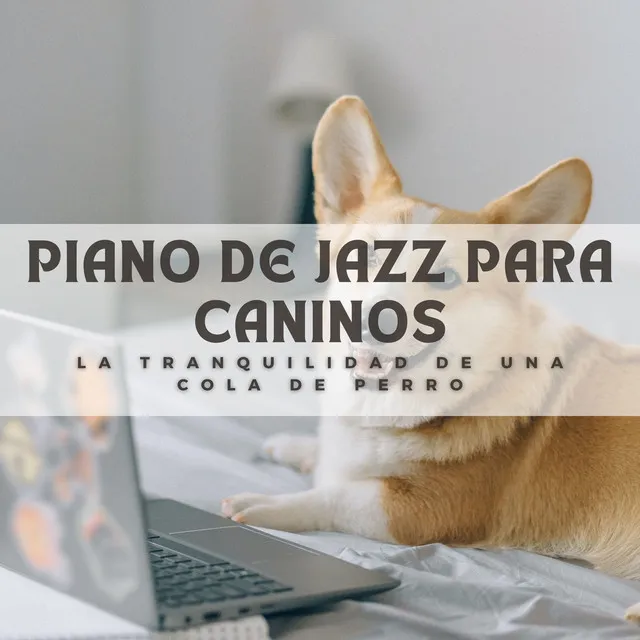 Piano De Jazz Para Caninos: La Tranquilidad De Una Cola De Perro