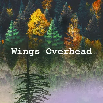 Wings Overhead by Bird Sounds 2016