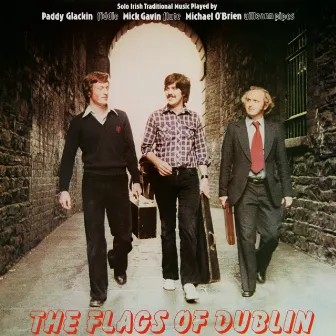 The Flags of Dublin by Mick Gavin