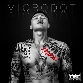 PROPHET by Microdot