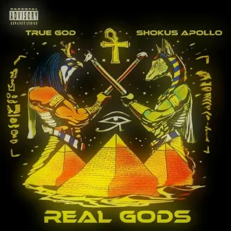 Real Gods by Shokus Apollo