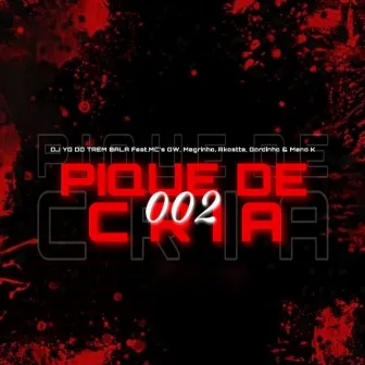 PIQUE DE CRIA 002 by DJ YG DO TREM BALA OFICIAL