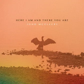 Here I Am and There You Are by Jono McCleery