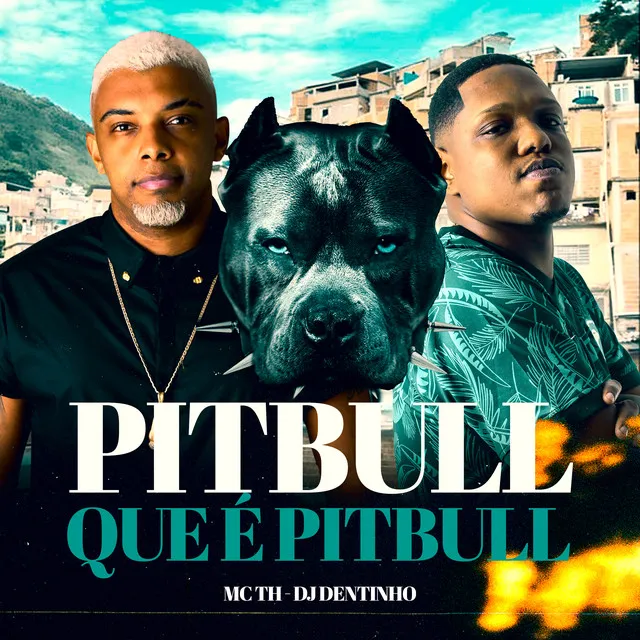 Pitbull Que É Pitbull