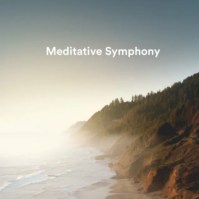 Meditative Symphony