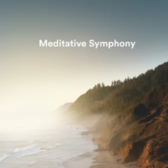 Meditative Symphony by Mother Nature Recordings