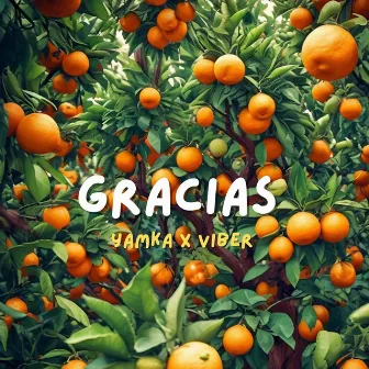 GRACIAS by Yamka