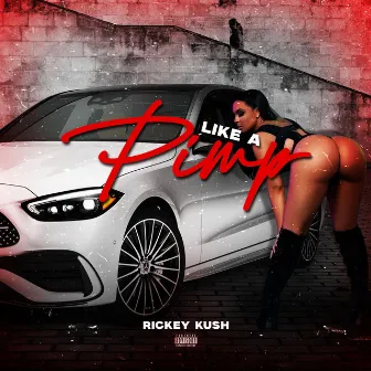 Like A Pimp by Rickey Kush