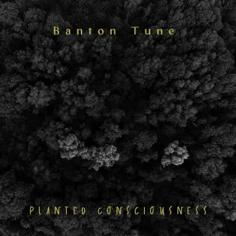 Planted Consciousness by Banton Tune