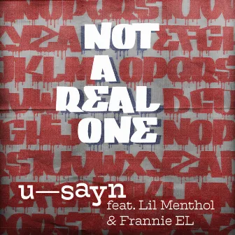 NOT A REAL ONE by u-sayn