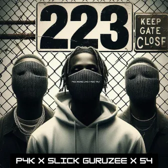 223 by Slick Guruzee