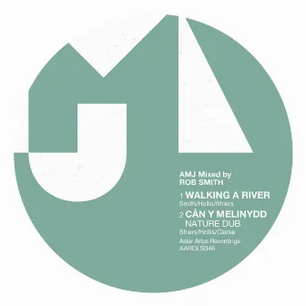 Walking a River by AMJ Collective