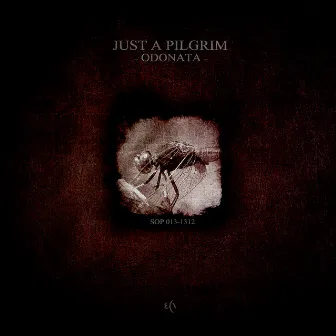 Odonata by Just A Pilgrim