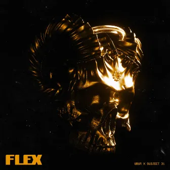 Flex by Subject 31