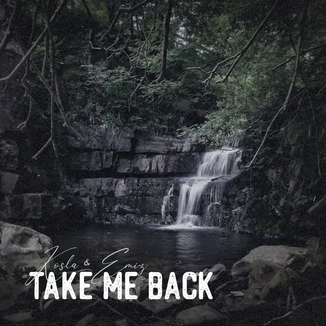 Take Me Back (Remix)