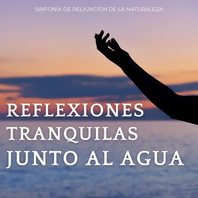 Flujo De Meditación Junto Al Agua