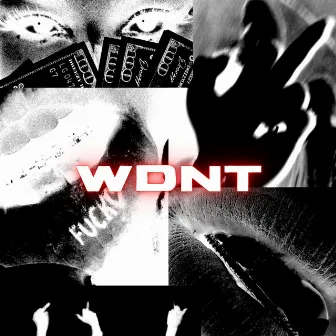 WDNT by Spaceboyaj