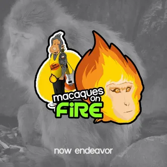 Macaques on Fire by Now Endeavor