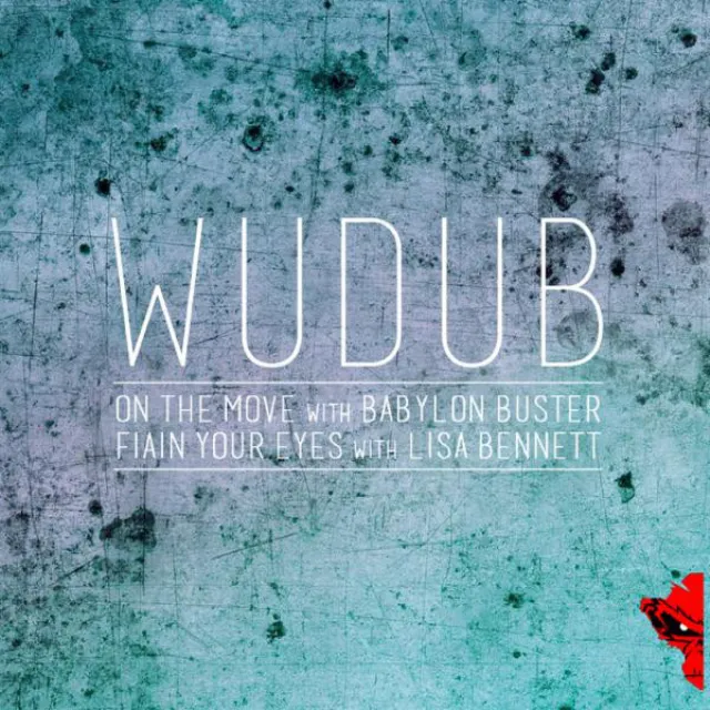 WuduB