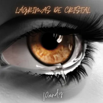 Lágrimas de cristal by Pandy