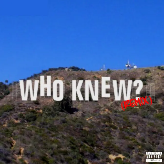 Who Knew? - Remix