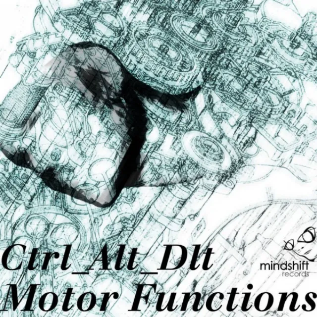 Motor Functions - Orignal Mix