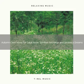 Autumn Calm Vibes For Total Relax, Spiritual Recharge and Delicious Dreams by Child Therapy Noise Collection