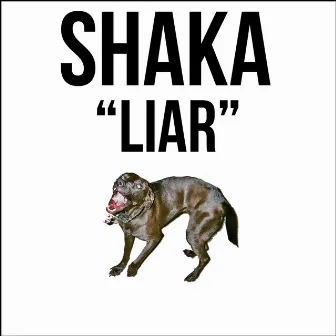 Liar by Shaka