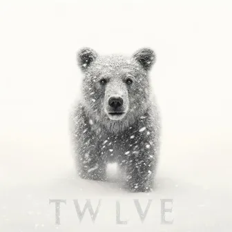 Twlve by Dave Moonshine