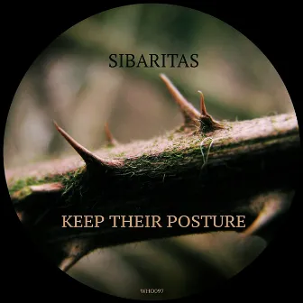 Keep Their Posture by Sibaritas