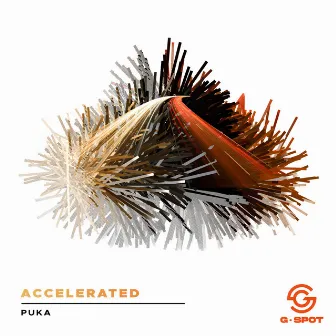 Accelerated by Puka