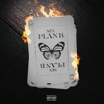 Sin Plan B by El Niño De Sonora