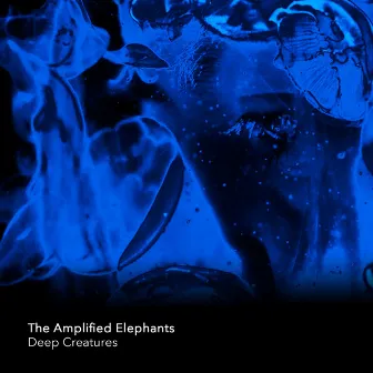 Deep Creatures by THE AMPLIFIED ELEPHANTS