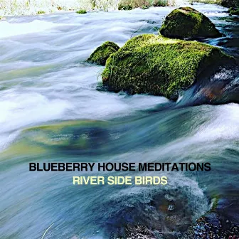 RIVER SIDE BIRDS by Blueberry House Meditations